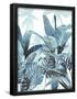 Essential Black