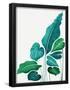 Essential Black