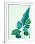 Gramercy White