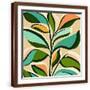 Brown Frame