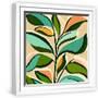 White Frame