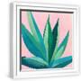 White Frame