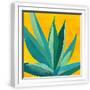 White Frame