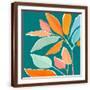 Brown Frame