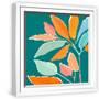 White Frame