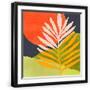 Black Frame