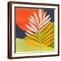 Brown Frame