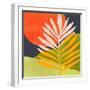 White Frame