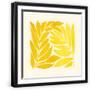 Black Frame