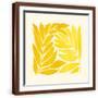 Brown Frame