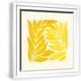 White Frame