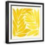 Black Frame