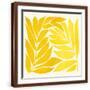 Brown Frame
