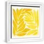 White Frame