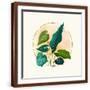 Brown Frame