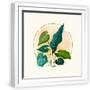 White Frame
