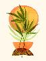 Laminate