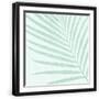 Black Frame