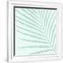 Gramercy White