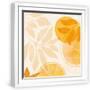 White Frame
