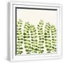 White Frame
