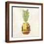 Brown Frame