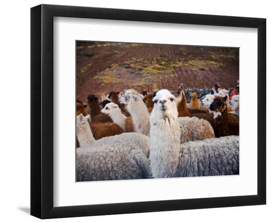 Photographic Print, , large