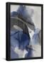 Essential Black