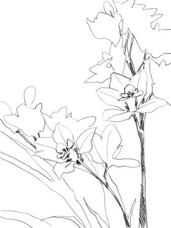 Sketch Lines - Bloom