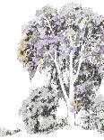 Aquarelle Bloom - Bud-Kristine Hegre-Stretched Canvas