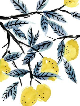 The Lemon Tree's Gift