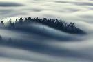 Laminate