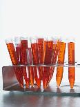 Test tubes filled with orange liquid-Kristopher Grunert-Framed Stretched Canvas