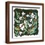 Brown Frame