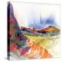Stretched Canvas
