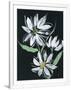 Gramercy White