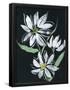 Essential Black
