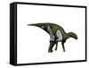 Kritosaurus Dinosaur-null-Framed Stretched Canvas