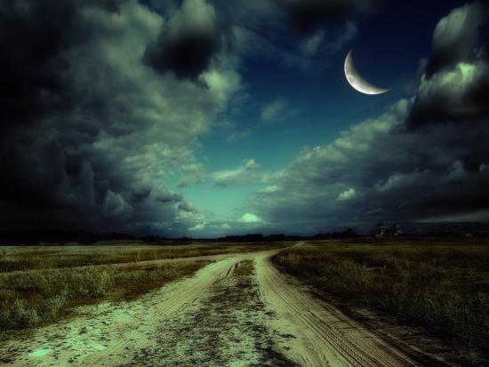 Photographic Print, , large