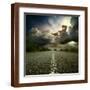 Brown Frame