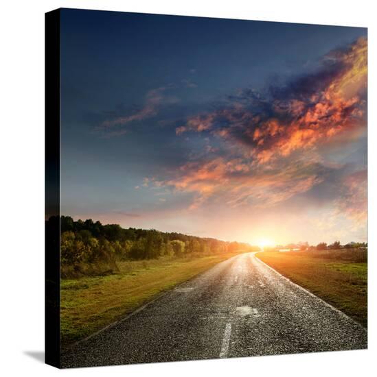Stretched Canvas Print, , large