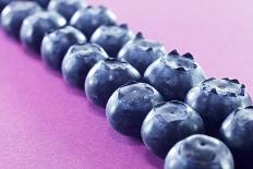 Blueberries in Rows (Close-Up)-Kröger and Gross-Framed Photographic Print