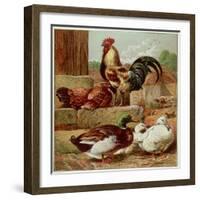 Kronheim's Chicken, Rooster and Ducks in Farmyard, from Aunt Louisa's Birthday Gift-null-Framed Photographic Print