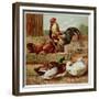 Kronheim's Chicken, Rooster and Ducks in Farmyard, from Aunt Louisa's Birthday Gift-null-Framed Photographic Print