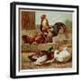 Kronheim's Chicken, Rooster and Ducks in Farmyard, from Aunt Louisa's Birthday Gift-null-Framed Photographic Print