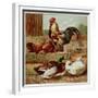 Kronheim's Chicken, Rooster and Ducks in Farmyard, from Aunt Louisa's Birthday Gift-null-Framed Photographic Print