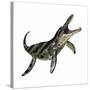 Kronosaurus Was a Marine Reptile from the Cretaceous Period-null-Stretched Canvas