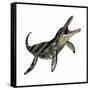 Kronosaurus Was a Marine Reptile from the Cretaceous Period-null-Framed Stretched Canvas
