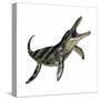 Kronosaurus Was a Marine Reptile from the Cretaceous Period-null-Stretched Canvas