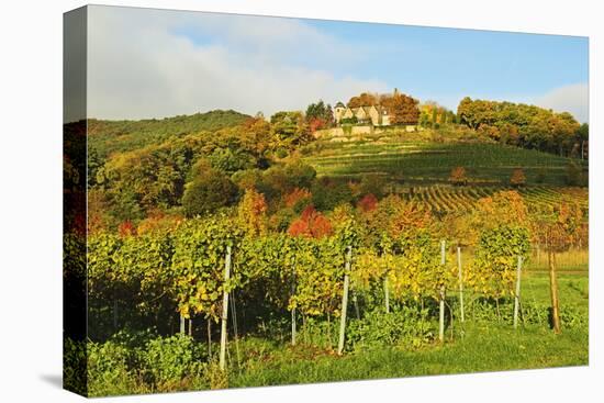 Kropsburg Castle and Vineyard Landscape-Jochen Schlenker-Stretched Canvas